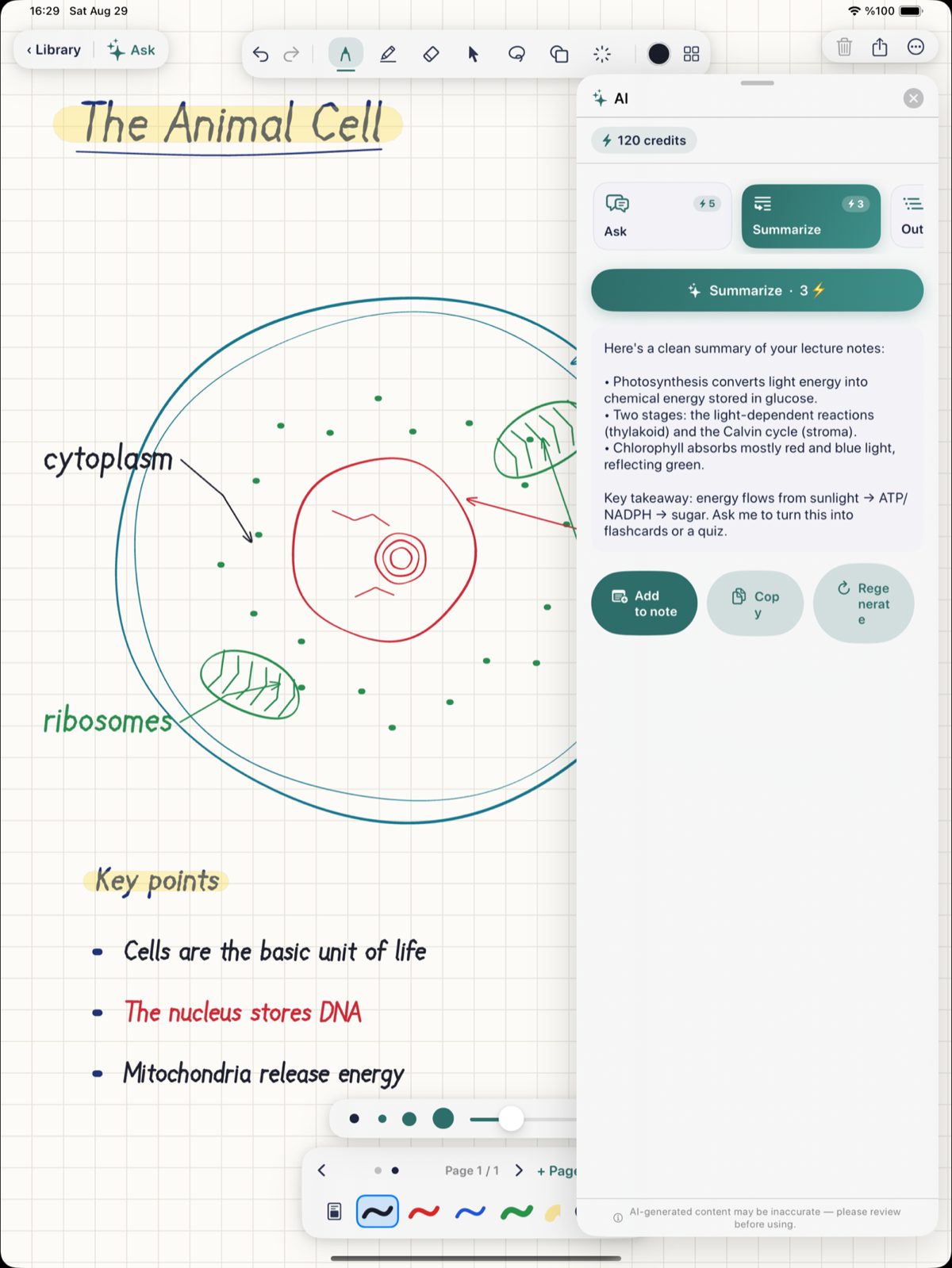 Noteday's AI panel open beside a biology page, showing a clean bullet summary of the notes with an option to turn it into flashcards or a quiz.