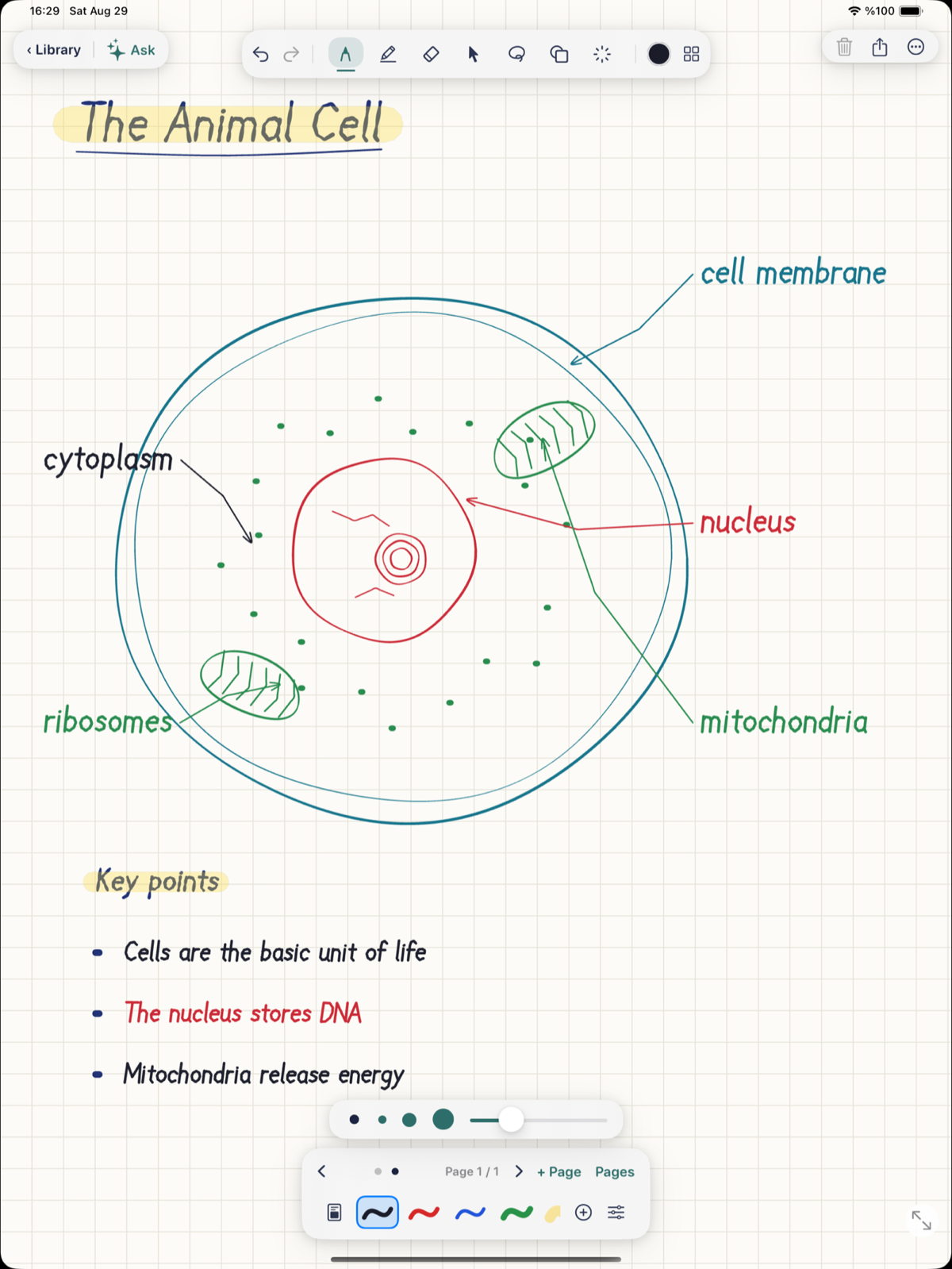 A Noteday page titled 'The Animal Cell' — handwritten notes and a hand-drawn, labeled cell diagram on grid paper.